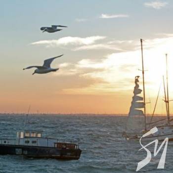 �������� � ��� ����� �������� � ����������: �������� ������ ����� ����?